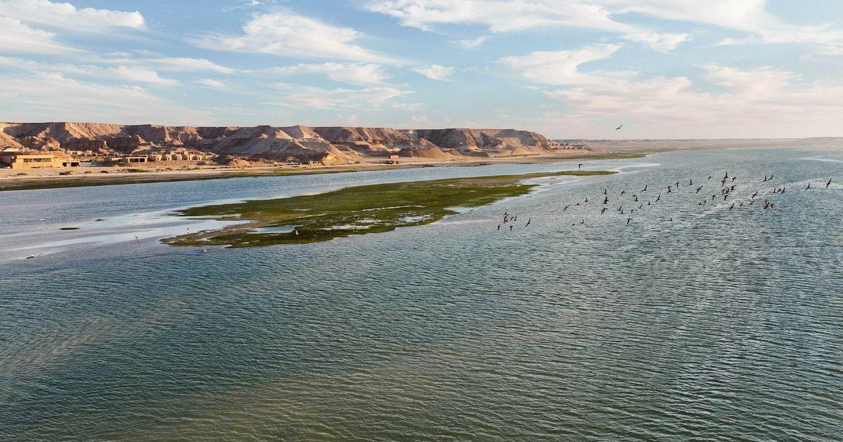 The Green Spot in Dakhla at mid tide with shallow turquoise water and birds flying over the seagrass channels.