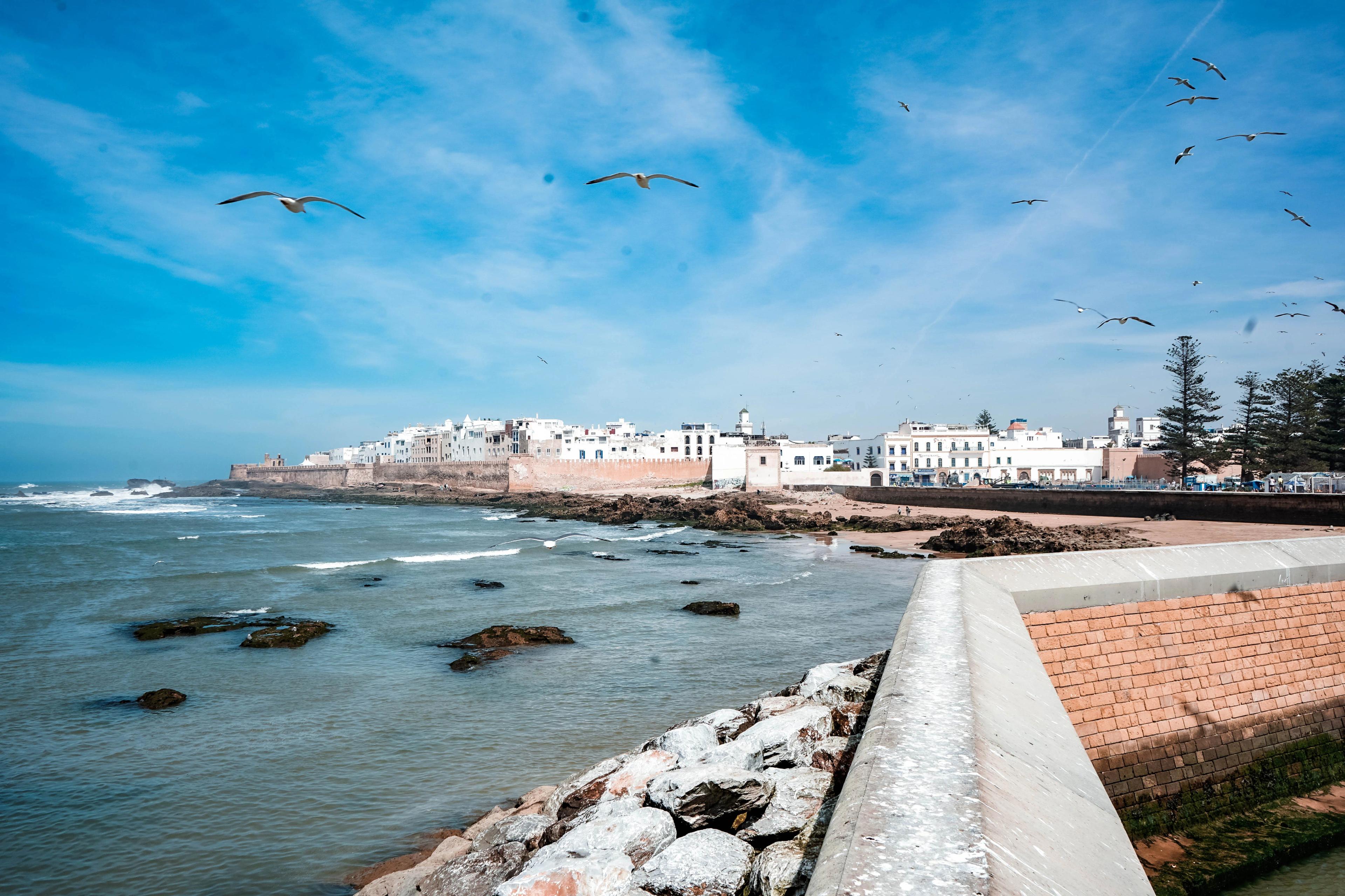 Le littoral d'Essaouira avec des mouettes survolant l'océan Atlantique bleu, point de départ des excursions guidées Bluboarding.