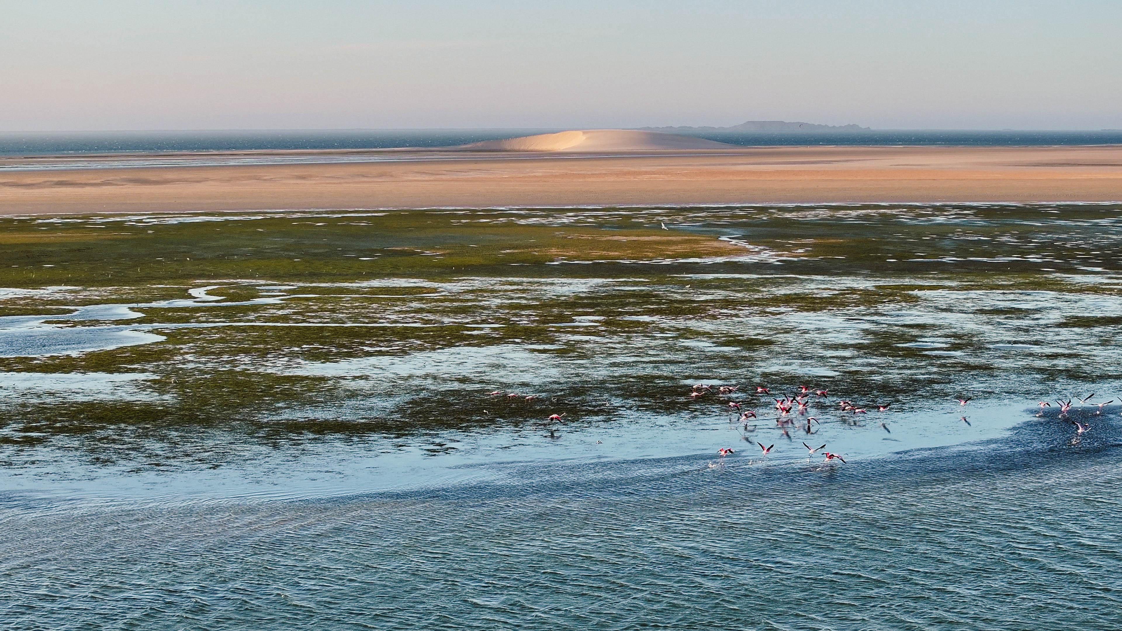 The White Dune of Dakhla seen from the lagoon, the destination of the Bluboarding downwinder excursion.